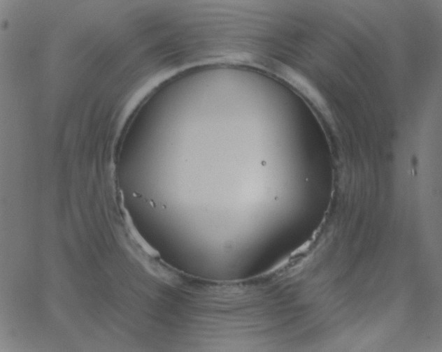 X0000067931332200604271959