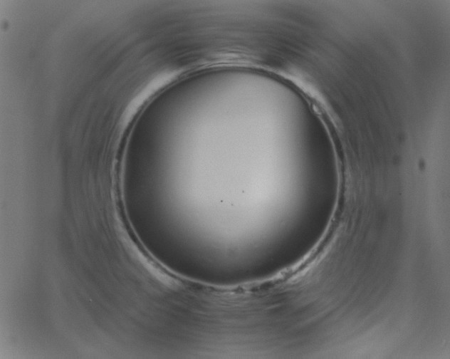 X0000067931333200604271959