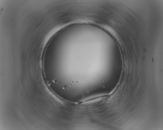 X0000067931335200604271959