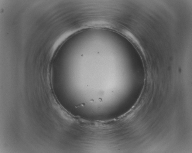 X0000067931336200604271959