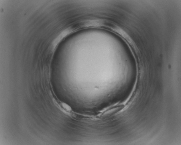 X0000067931337200604271959