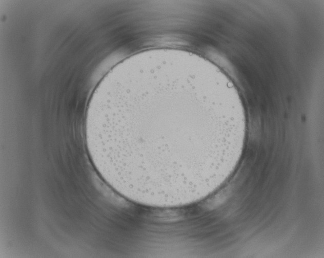 X0000067931338200604271959