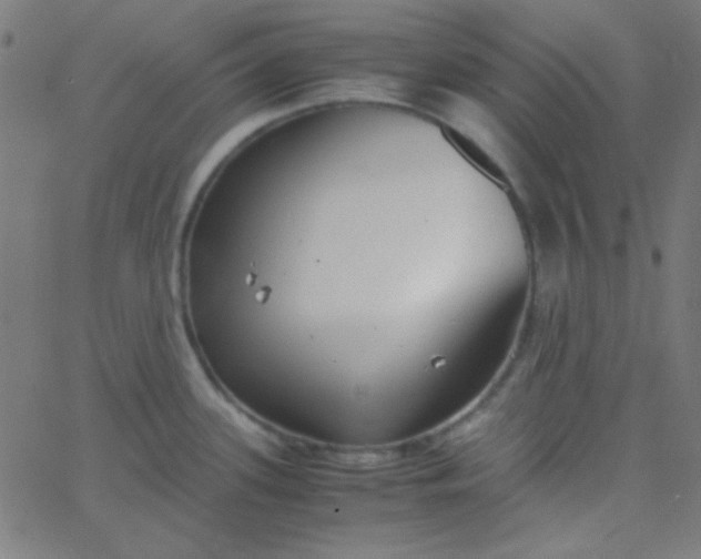 X0000067931339200604271959