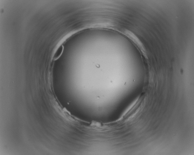 X0000067931340200604271959