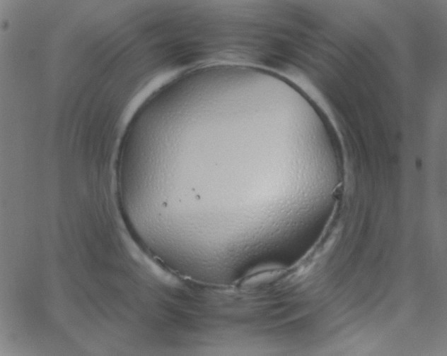 X0000067931341200604271959