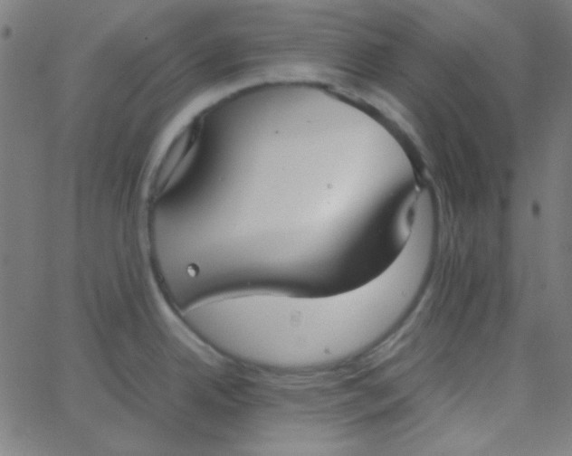 X0000067931342200604271959