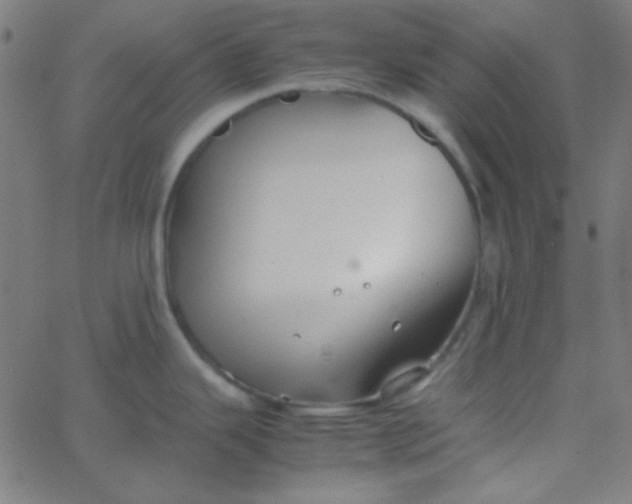 X0000067931343200604271959