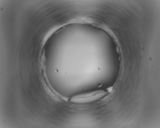 X0000067931344200604271959