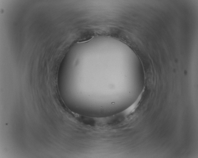 X0000067931345200604271958