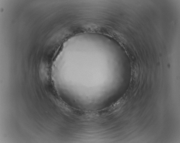 X0000067931346200604271958