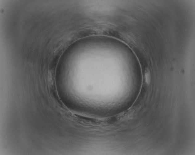 X0000067931347200604271958