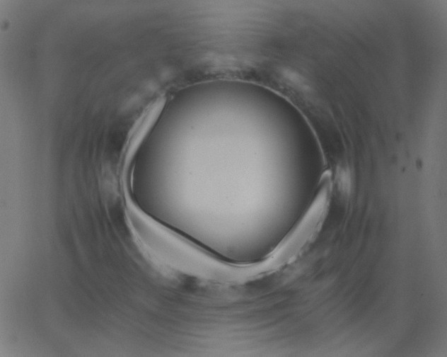 X0000067931348200604271958