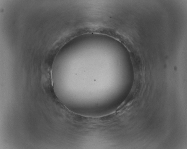 X0000067931349200604271958