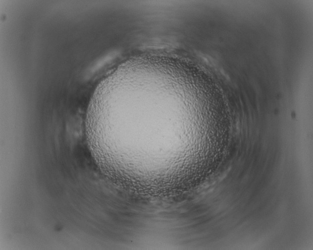 X0000067931350200604271958