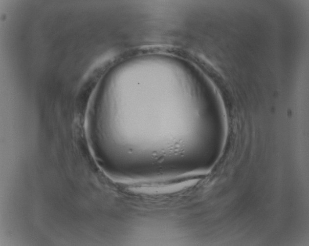 X0000067931351200604271958