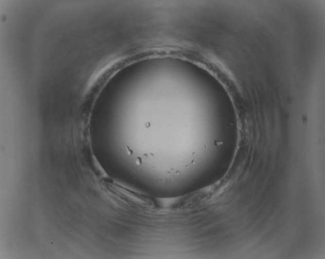 X0000067931352200604271958