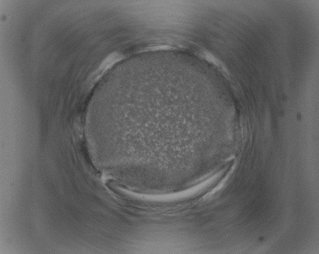 X0000067931353200604271958