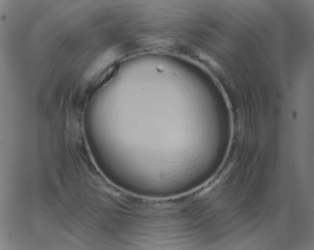 X0000067931354200604271958