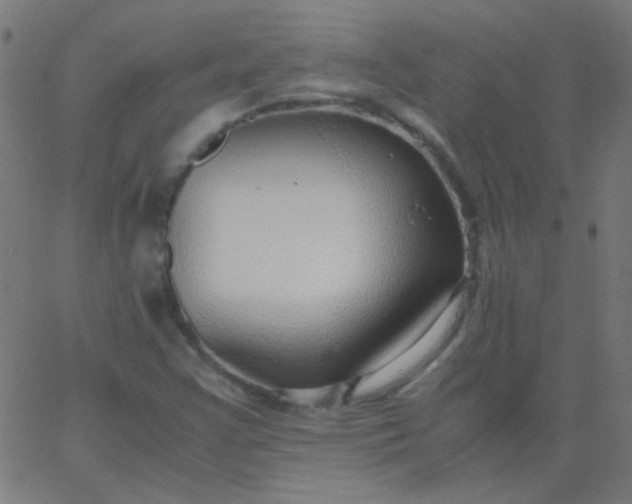 X0000067931355200604271958