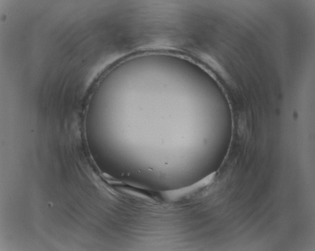 X0000067931356200604271958