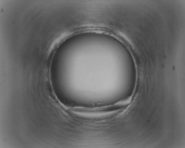 X0000067931357200604271958