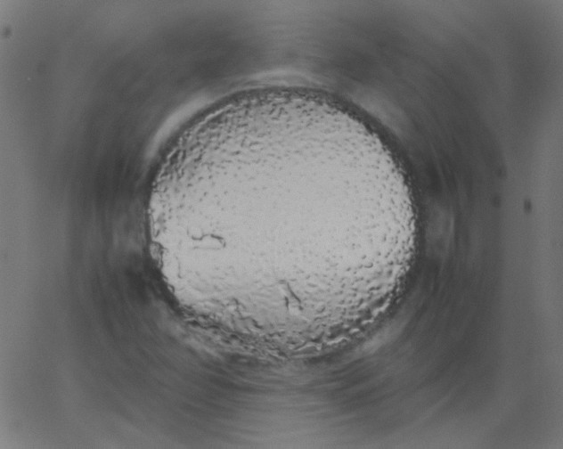 X0000067931358200604271958