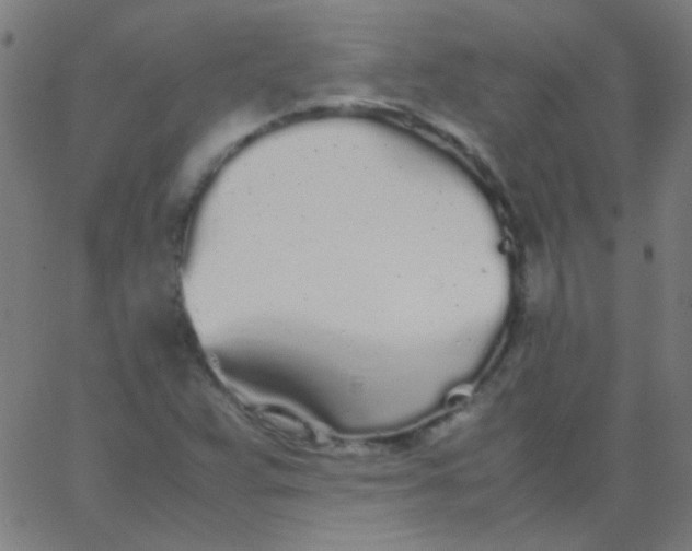 X0000067931359200604271958