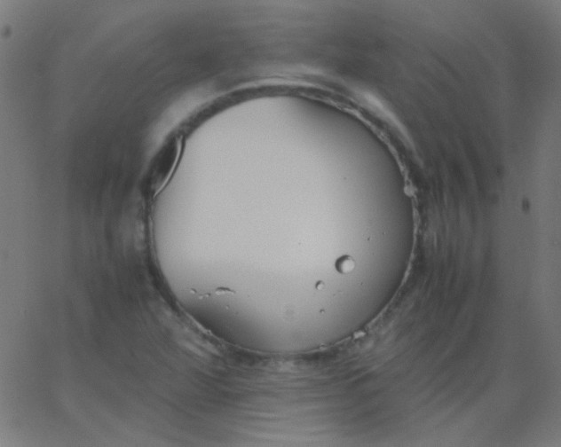 X0000067931360200604271958