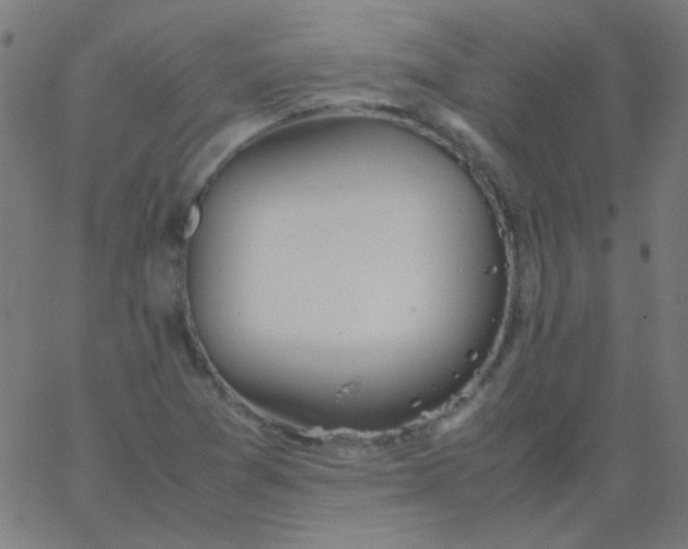 X0000067931361200604271958