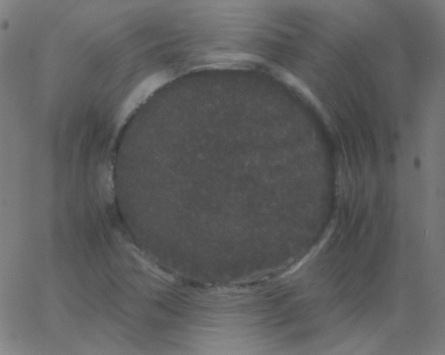 X0000067931362200604271958