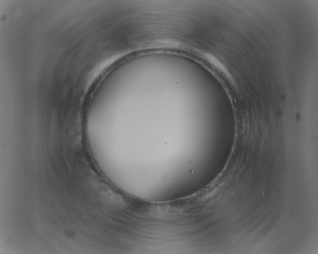 X0000067931364200604271958