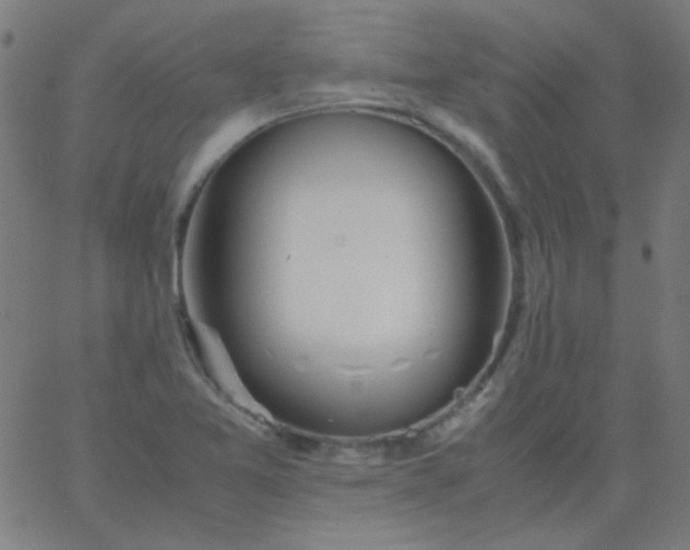 X0000067931365200604271958