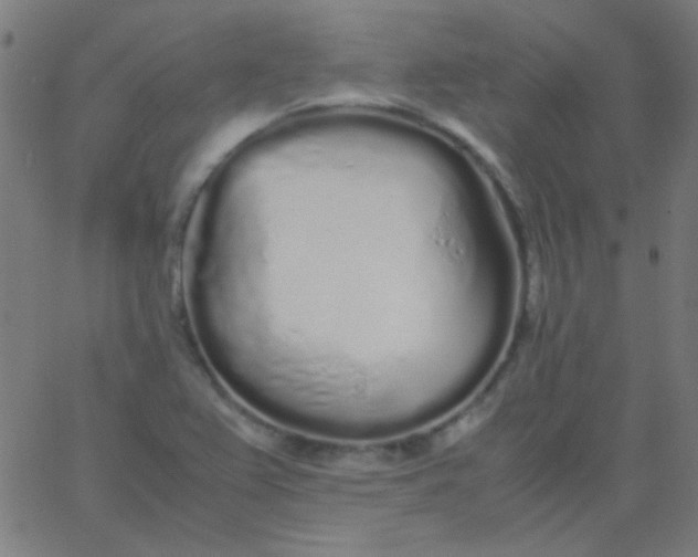 X0000067931367200604271958