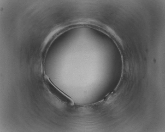 X0000067931368200604271958