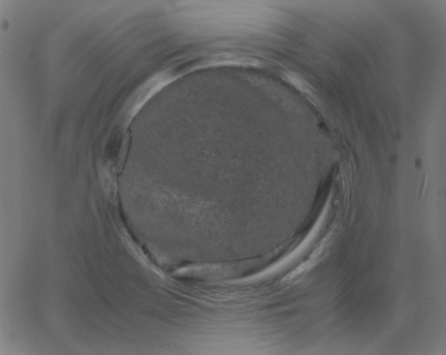 X0000067931369200604271958