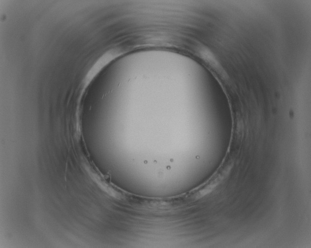 X0000067931370200604271958