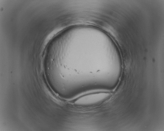 X0000067931371200604271958