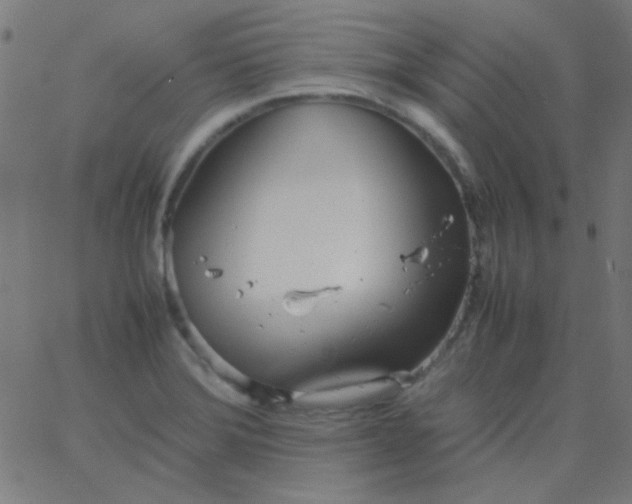 X0000067931372200604271958