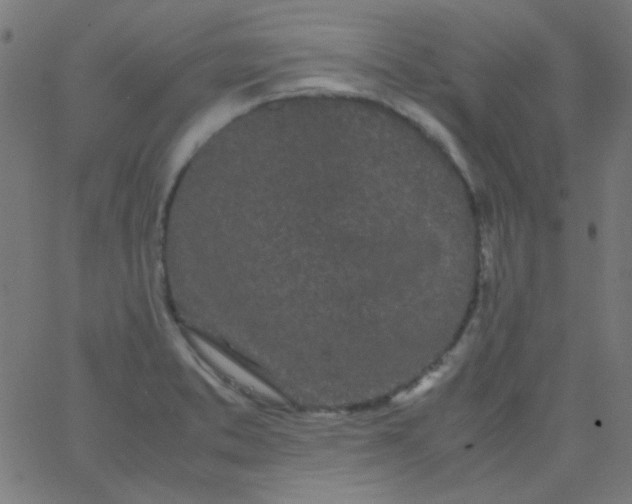 X0000067931373200604271958