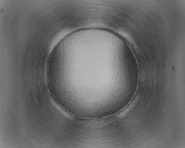 X0000067931374200604271958