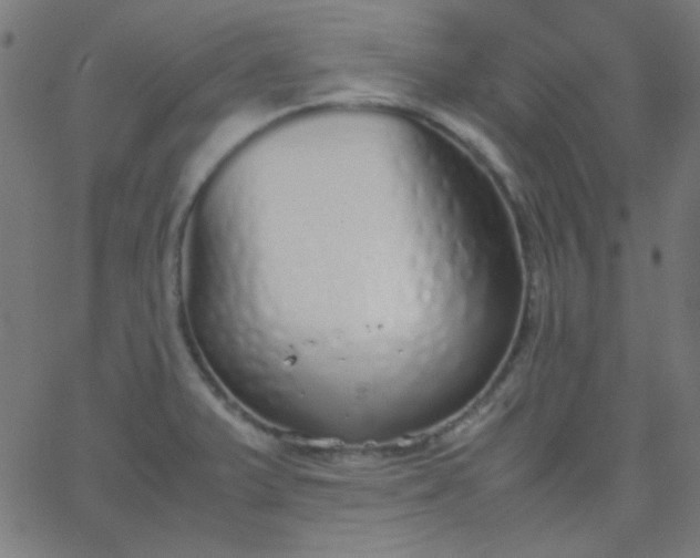 X0000067931375200604271958