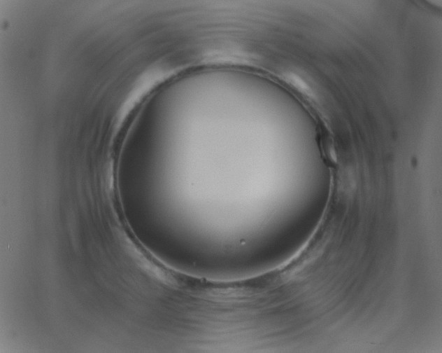 X0000067931376200604271958