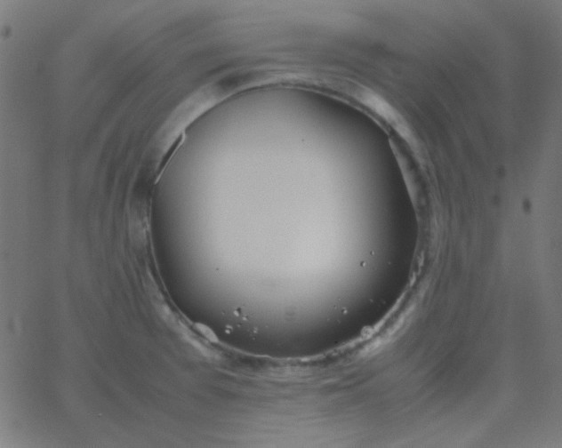 X0000067931377200604271958