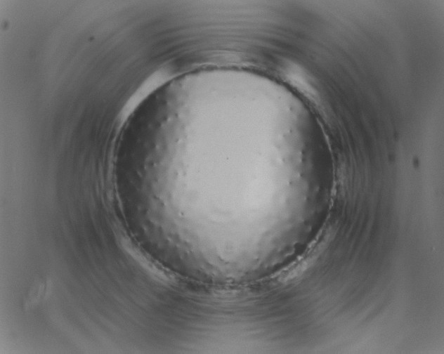 X0000067931378200604271958