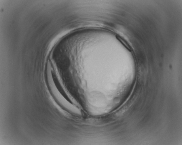 X0000067931379200604271958