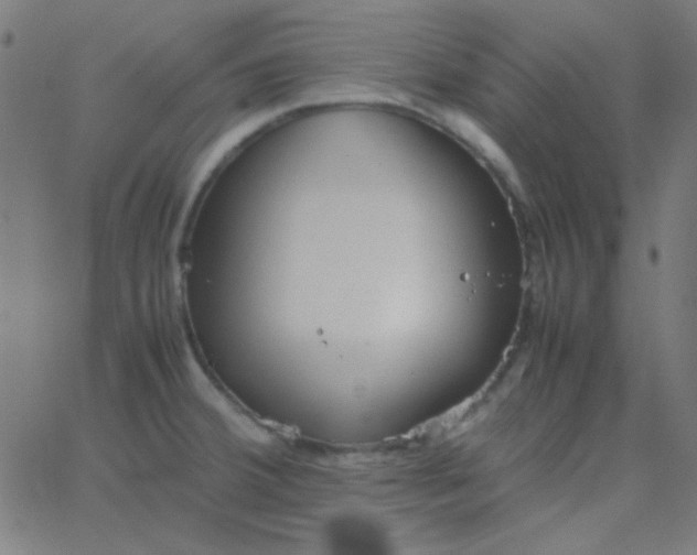 X0000067931380200604271958