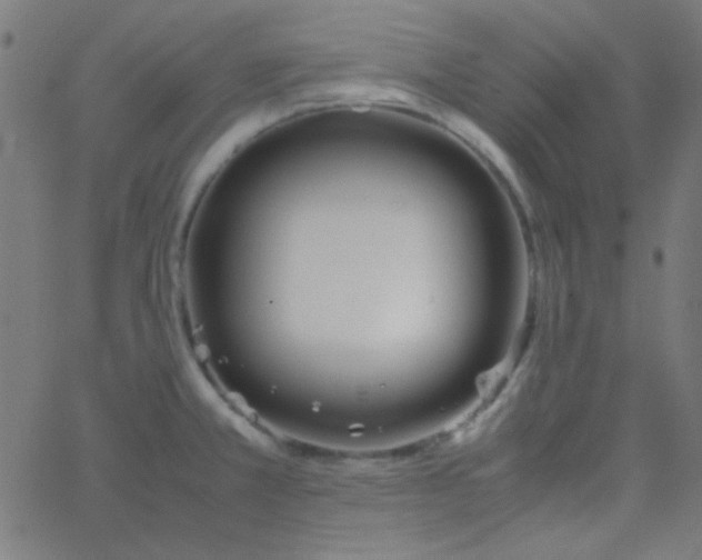 X0000067931381200604271958