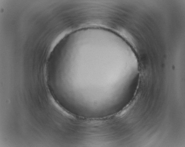 X0000067931382200604271958