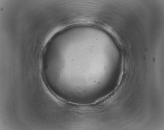 X0000067931383200604271958