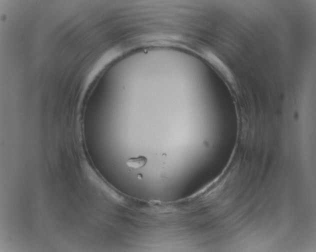 X0000067931384200604271958